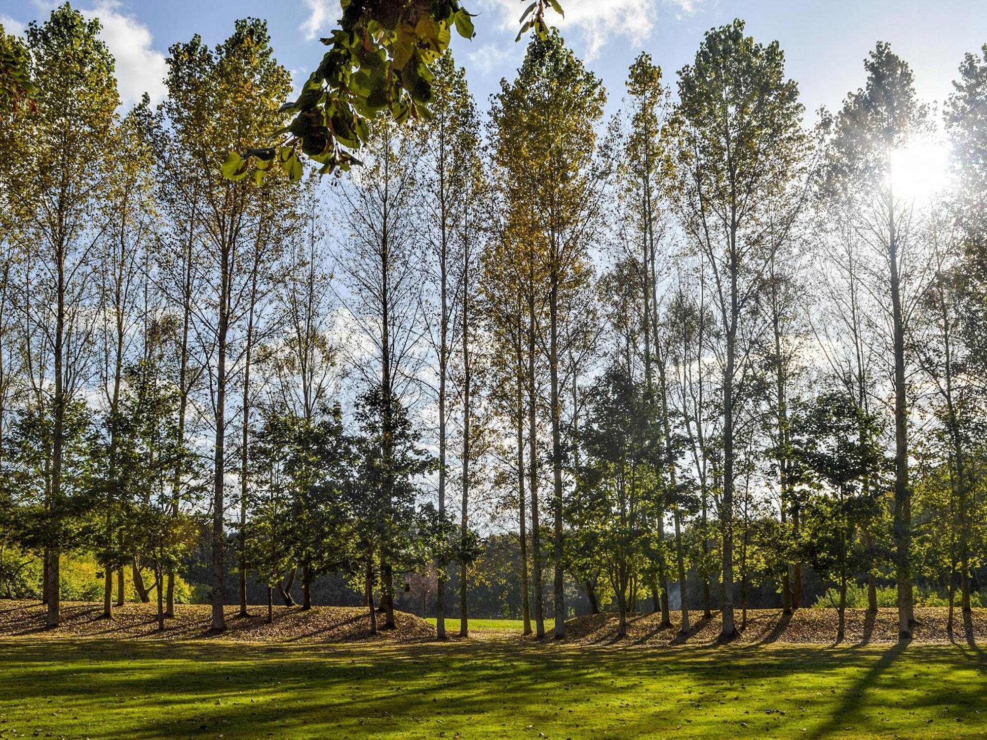 Deer Cottage 2 Uk39332 Biddenden Екстер'єр фото